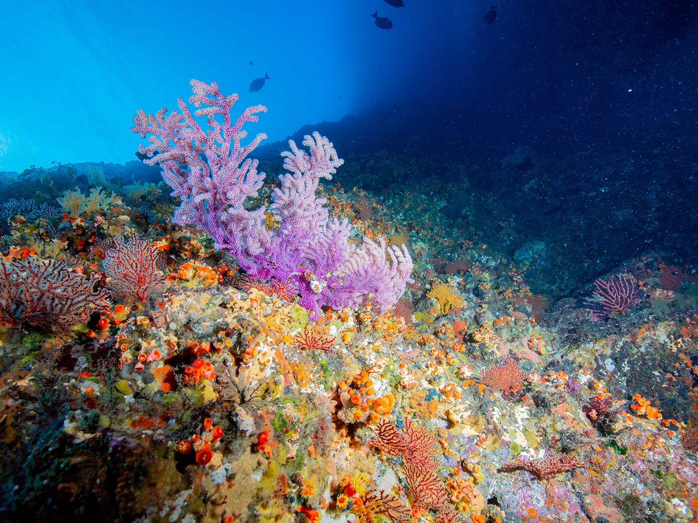 カラフルな海の景色